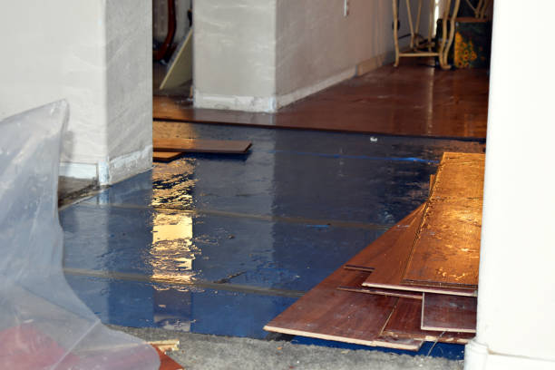 Professional Sewage Cleanup technician working in Mayville, WI